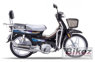 2008 Senke SK100 photo